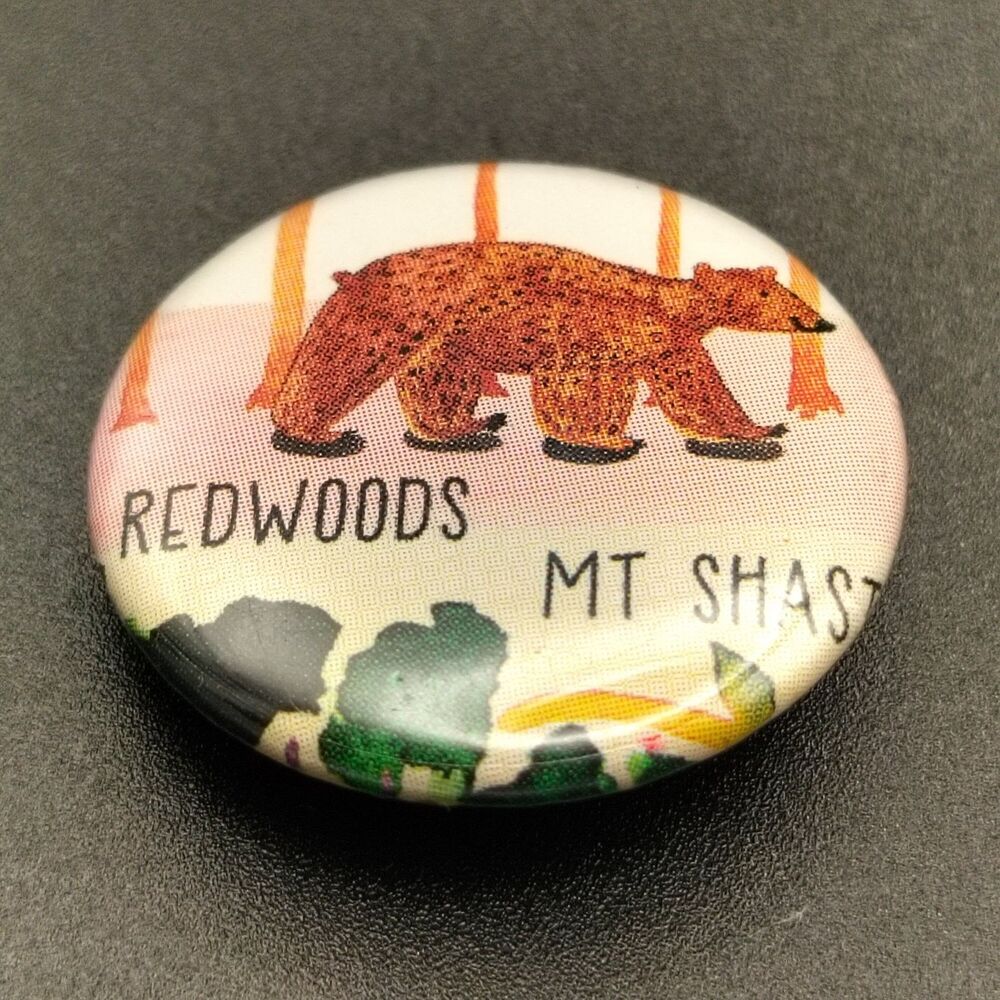 Redwoods Mt Shasta Bear Pinback Button California Souvenir Round